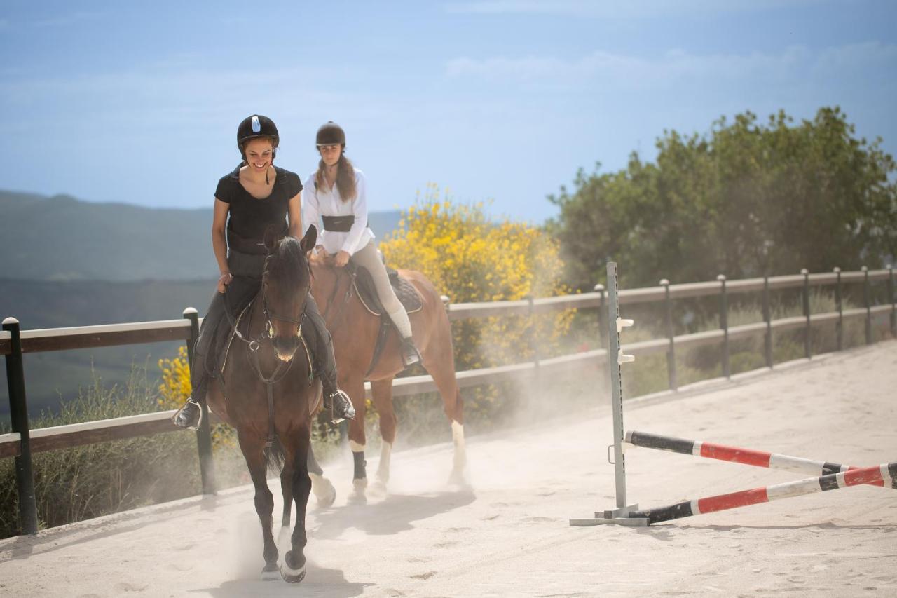 Podere Val D'Orcia - Tuscany Equestrian サルテアーノ エクステリア 写真