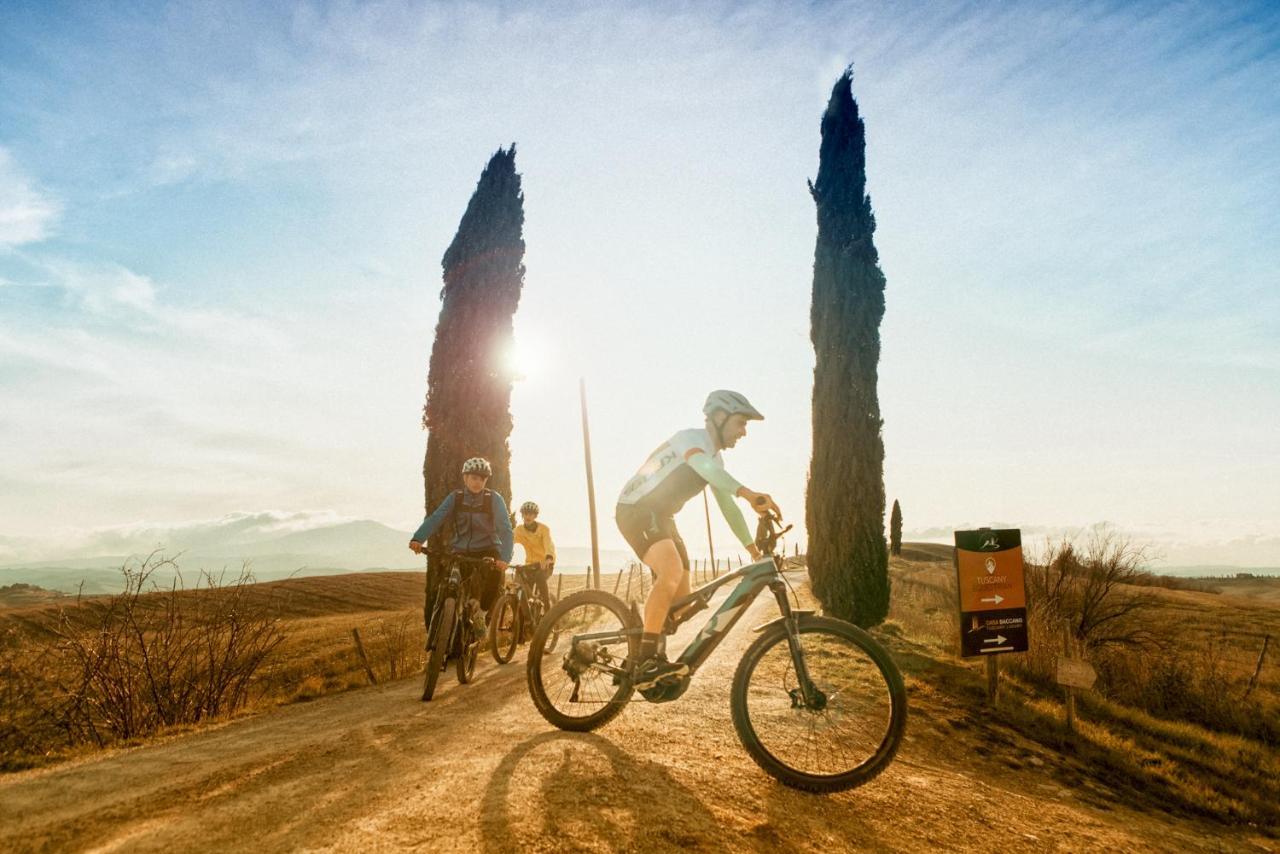 Podere Val D'Orcia - Tuscany Equestrian サルテアーノ エクステリア 写真